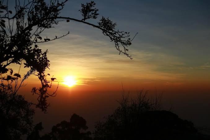 Praveen'S Wood House Kodaikanal Vattakanal Ngoại thất bức ảnh