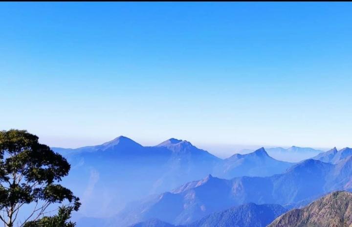 Praveen'S Wood House Kodaikanal Vattakanal Ngoại thất bức ảnh